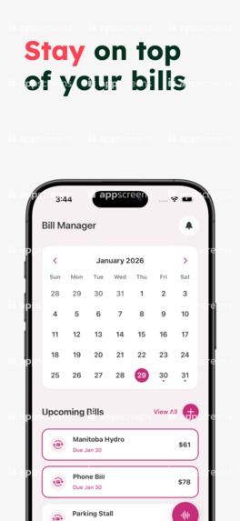 Pink Finance – screenshot 3