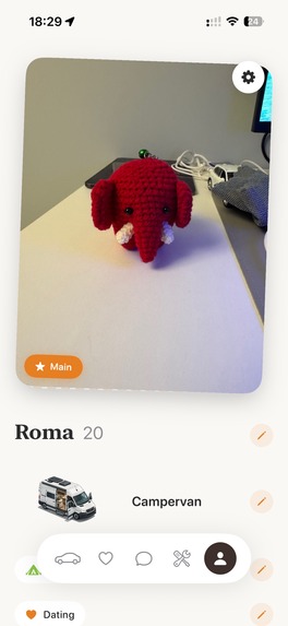 Van Match – screenshot 2