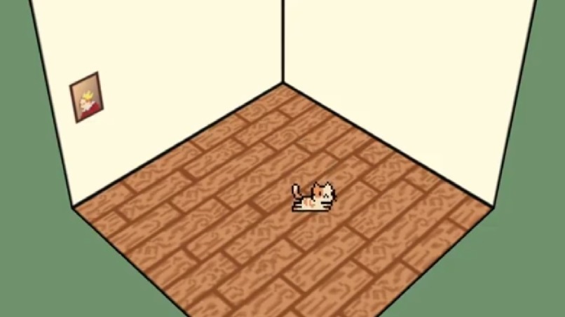 CatCare – screenshot 1