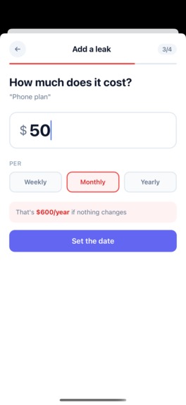 Money Leak Radar – screenshot 1