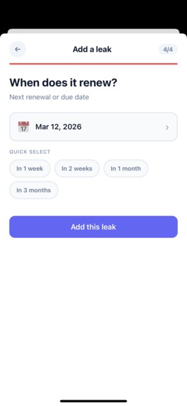 Money Leak Radar – screenshot 2