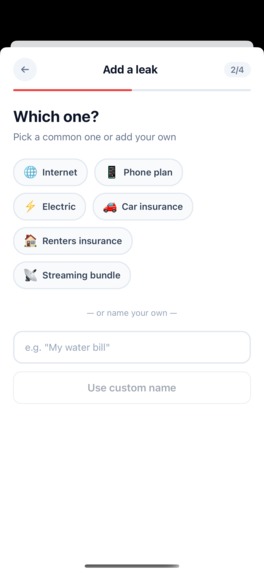 Money Leak Radar – screenshot 3