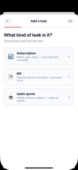 Money Leak Radar – screenshot 4