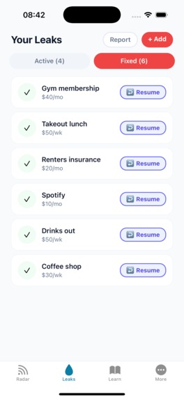 Money Leak Radar – screenshot 10