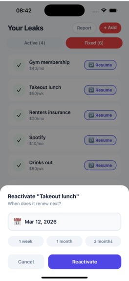 Money Leak Radar – screenshot 16