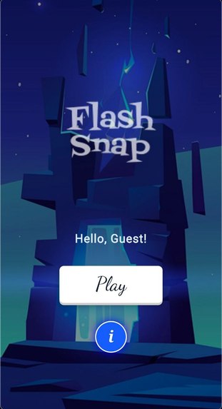 Flash Snap a puzzle game – screenshot 2