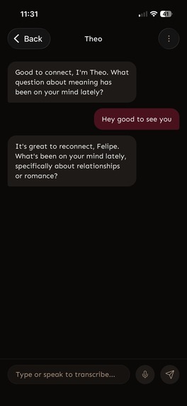 Facet: Offline AI Coaching – screenshot 3