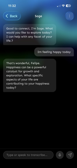 Facet: Offline AI Coaching – screenshot 5