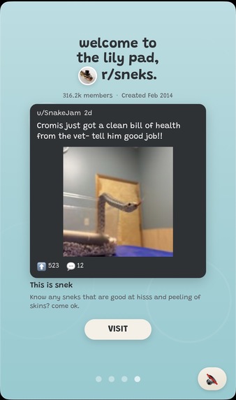 Subribbit Surfer – screenshot 12