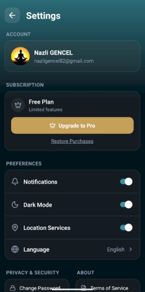 RoadMate – screenshot 10