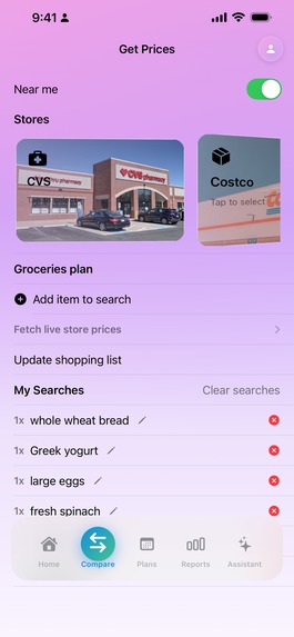 Nest: Budget & Productivity – screenshot 4
