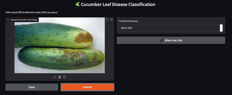 Deep Learning based disease detection in cucumber leaves – screenshot 2