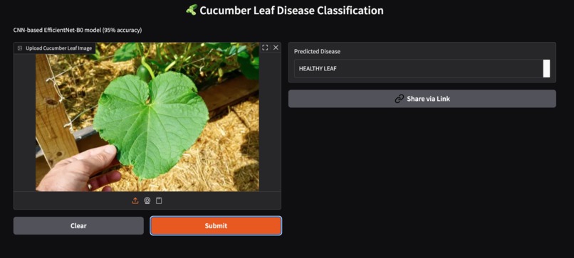 Deep Learning based disease detection in cucumber leaves – screenshot 3
