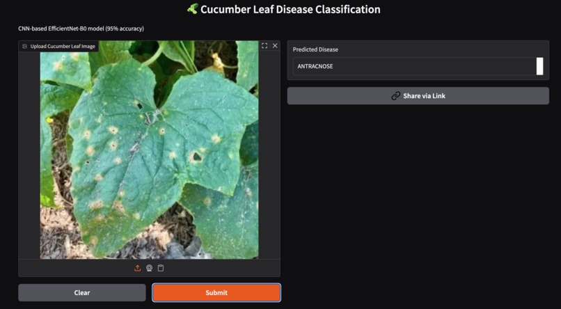 Deep Learning based disease detection in cucumber leaves – screenshot 4