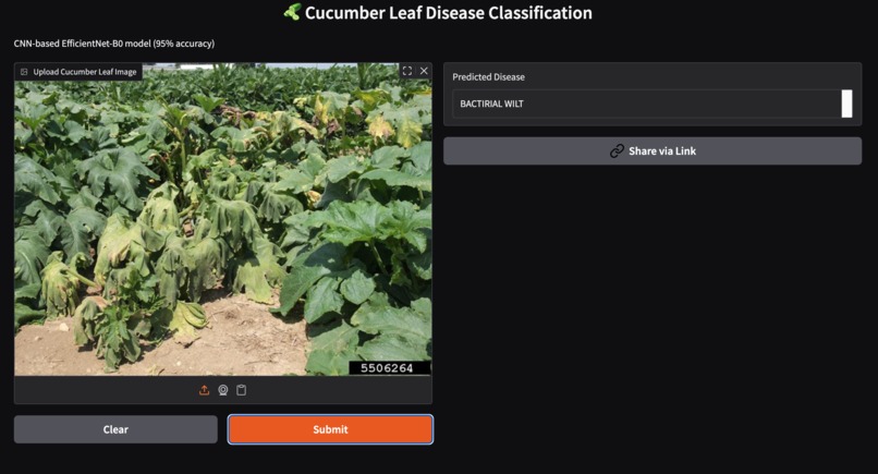 Deep Learning based disease detection in cucumber leaves – screenshot 5