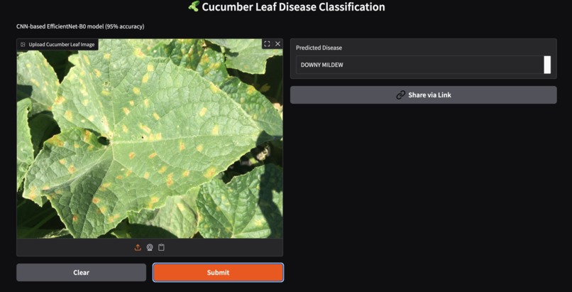 Deep Learning based disease detection in cucumber leaves – screenshot 6