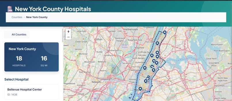 Hospital-LOS-Predictor – screenshot 5