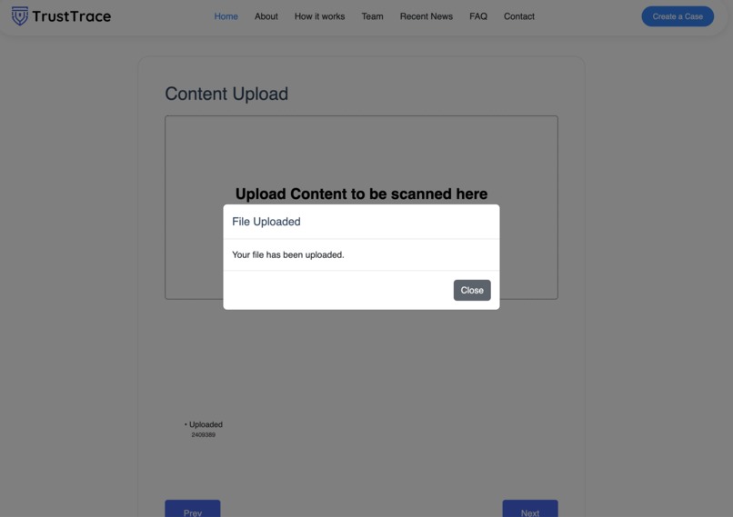 TrustTrace: MultiMedia Deepfake Detection Platform – screenshot 1