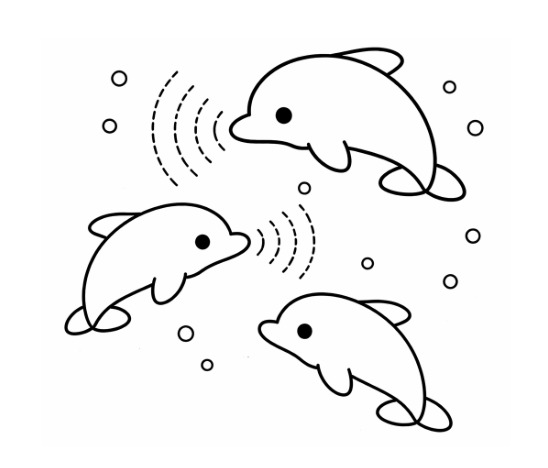 EcholoKernel – screenshot 1