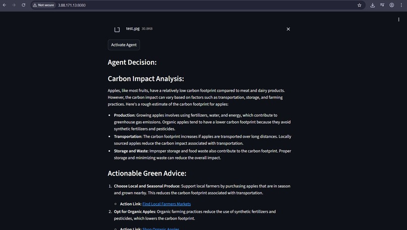 EcoAgent Pro: Vision-Driven Sustainability Assistant – screenshot 4