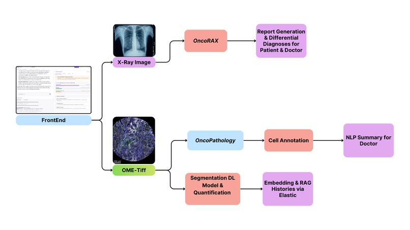 TargetONCO - Turning Weeks of Cancer Analysis into Minutes – screenshot 4