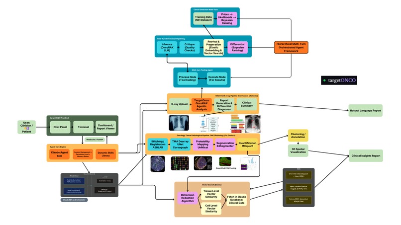 TargetONCO - Turning Weeks of Cancer Analysis into Minutes – screenshot 3