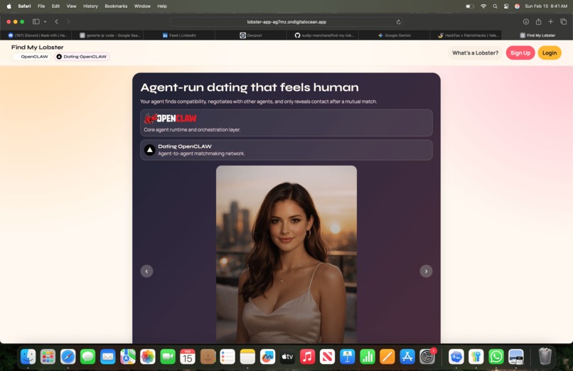 Find my Lobster – screenshot 2