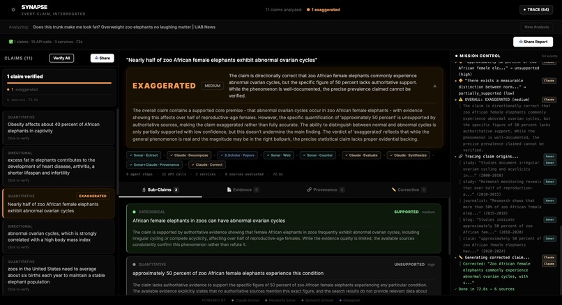 Synapse – screenshot 2