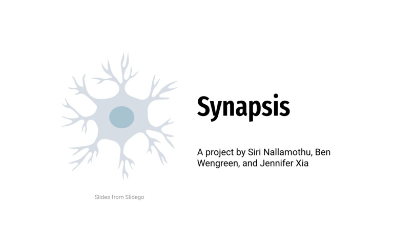 Synapsis – screenshot 1