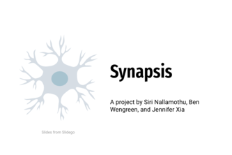 Synapsis