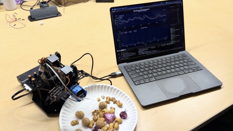 MindAssist – screenshot 2