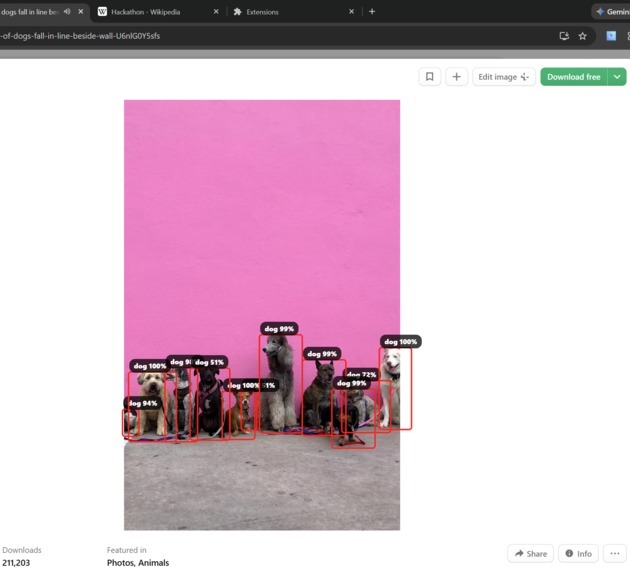 Vision Assist – screenshot 1