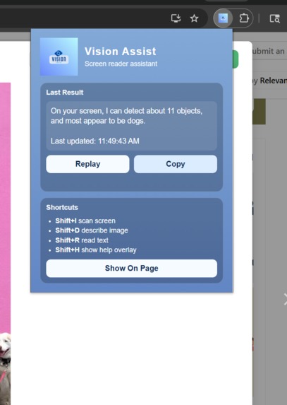 Vision Assist – screenshot 2