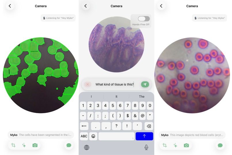 Myko – screenshot 4