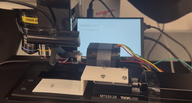 AutoLab Labs – screenshot 1