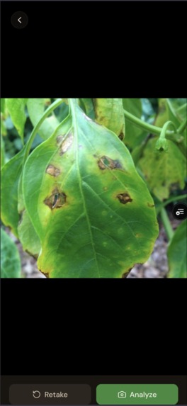 CropGuard AI – screenshot 4