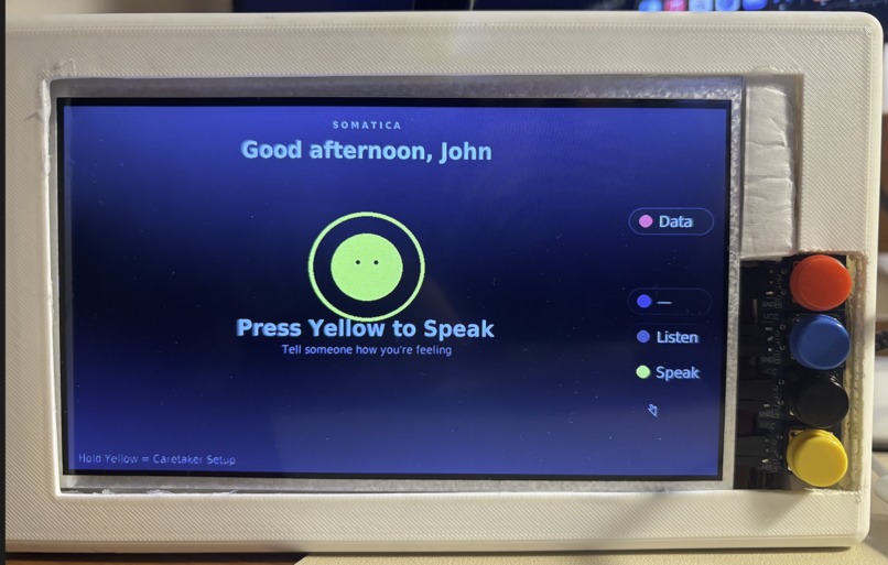 Somatica – screenshot 1