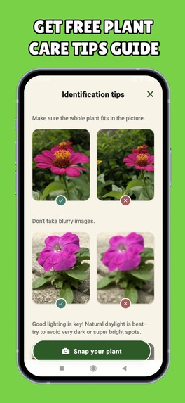 Plant ID - Plant Identifier Mobile Application – screenshot 5