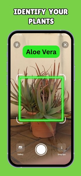 Plant ID - Plant Identifier Mobile Application – screenshot 2