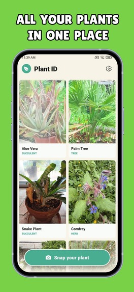 Plant ID - Plant Identifier Mobile Application – screenshot 4