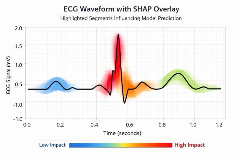 Explainable-ECG: Trustworthy AI for Arrhythmia Detection – screenshot 2