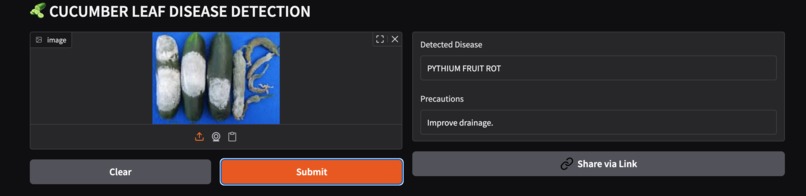 Deep Learning based disease detection in cucumber leaves – screenshot 1