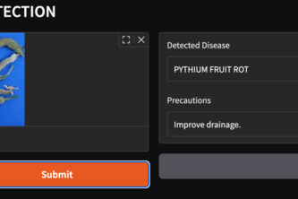 Deep Learning based disease detection in cucumber leaves