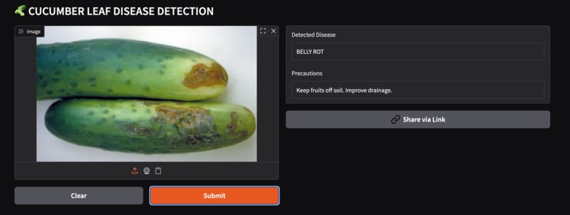 Deep Learning based disease detection in cucumber leaves – screenshot 2