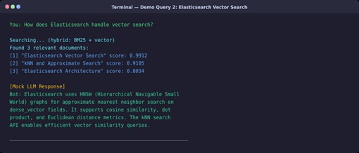 RAG_Elasticsearch_Chat_Assistant_hackathon – screenshot 3