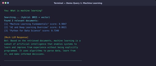 RAG_Elasticsearch_Chat_Assistant_hackathon – screenshot 4