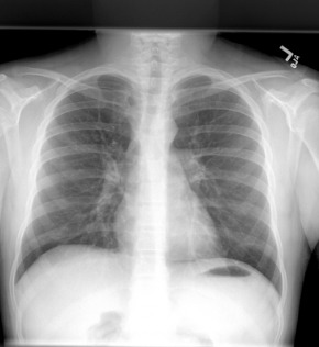 Nadia – screenshot 1