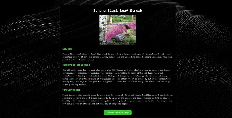 PlaneTeer_Agrobiotic Disease Detector – screenshot 3