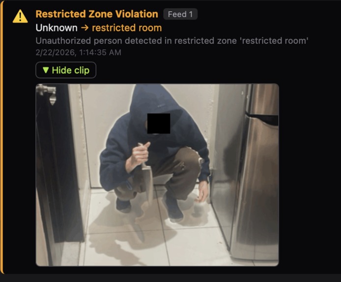 LOCKDOWN.cv – screenshot 3