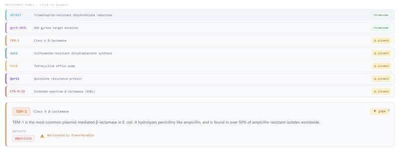 Bacter.ai – screenshot 9